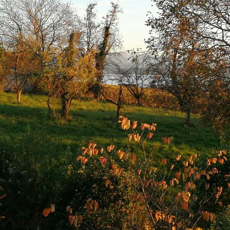 Haus Meersburg Garten 외부 사진
