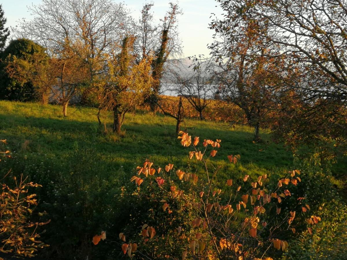 Haus Meersburg Garten 외부 사진