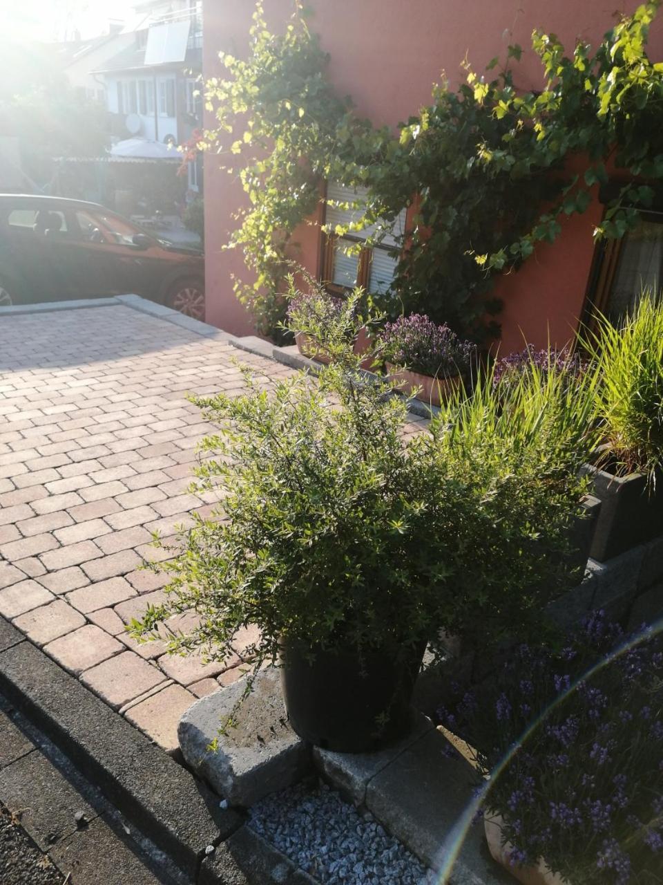 Haus Meersburg Garten 외부 사진
