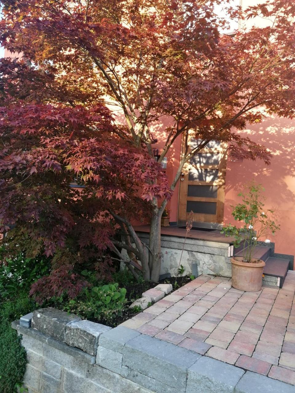 Haus Meersburg Garten 외부 사진