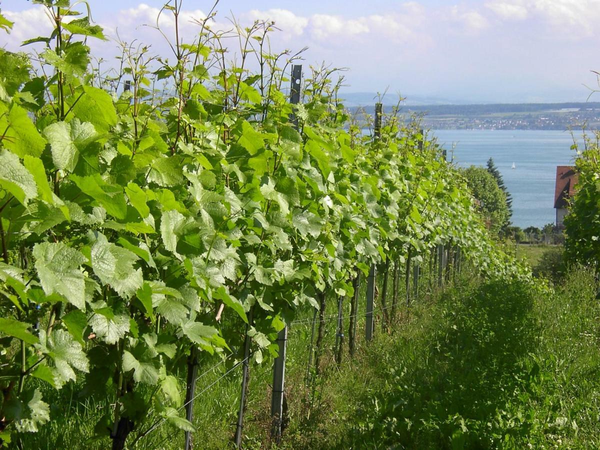 Haus Meersburg Garten 외부 사진